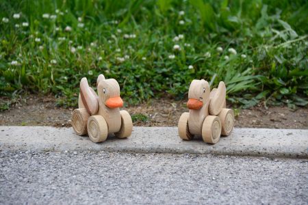 Roller Ducks.jpg